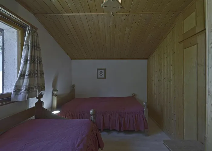 Daire Chesa Raetia - *